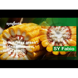 SY FABIO / СИ ФАБІО