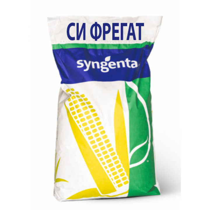 SY FREGAT / СИ ФРЕГАТ