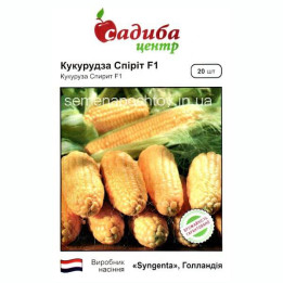 SYNOPSIS / СИНОПСИС