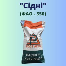 Сідні