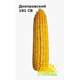 Степовий