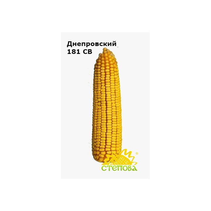 Степовий