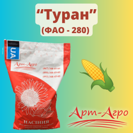 Туран