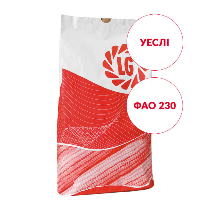 WESLEY / УЕСЛІ