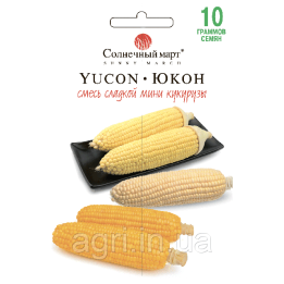 UNI2910 / ЮНІ2910
