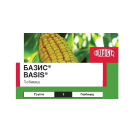 Basis / Базис