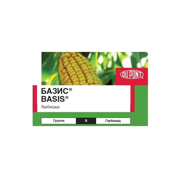 Basis / Базис