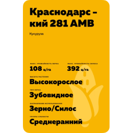 БМ 281 АСВ