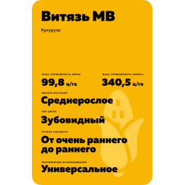 Витязь МВ