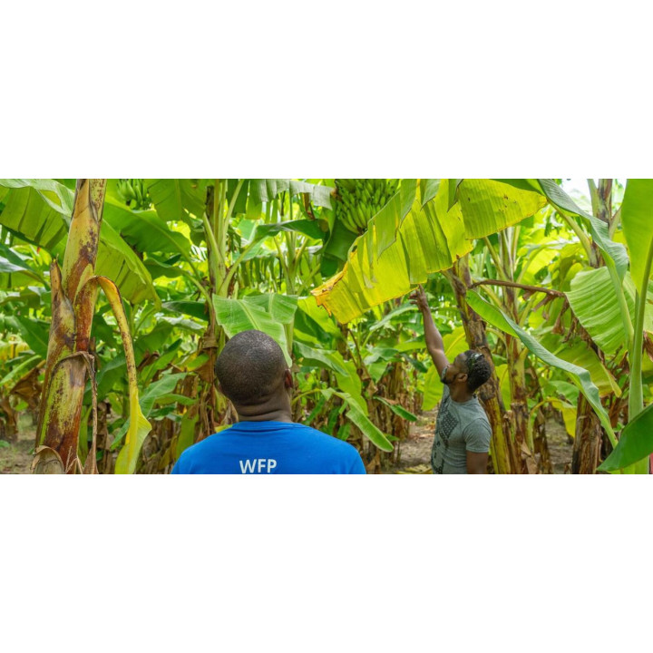 Haiti / Гаїті