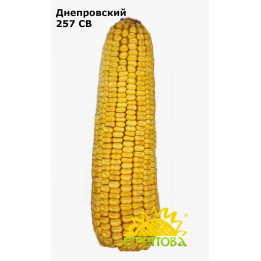 Дніпровський 223 СВ
