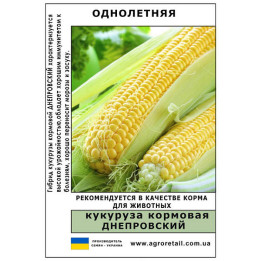 Днепровский 284 МВ / Дніпровський 284 МВ