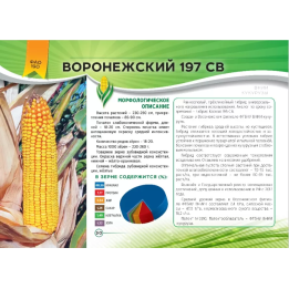Ельф 197 МВ