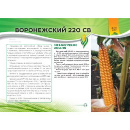Еней 220 СВ