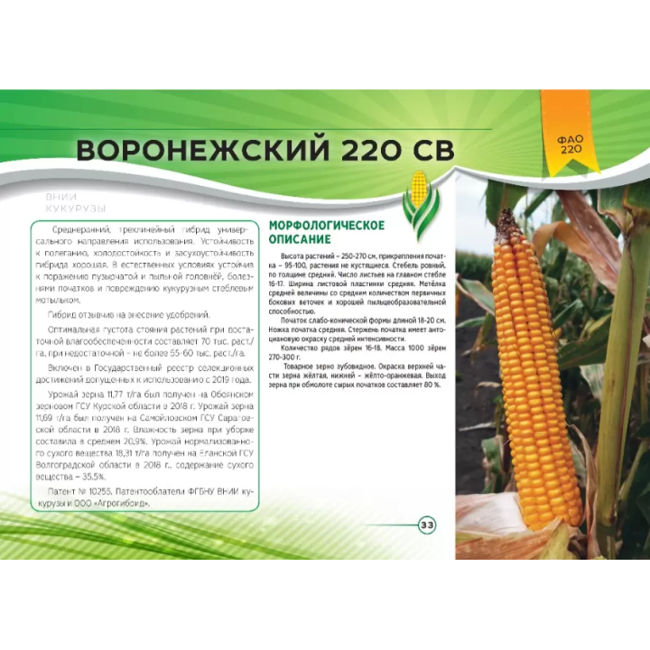 Еней 220 СВ
