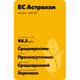ES Astrakan / ЕС Астракан