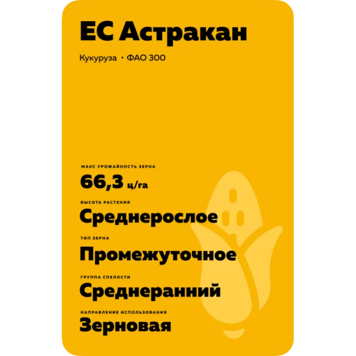 ES Astrakan / ЕС Астракан