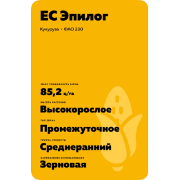 ES EPILOG / ЕС ЕПІЛОГ