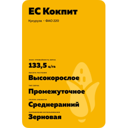 ES COCKPIT / ЕС КОКПІТ