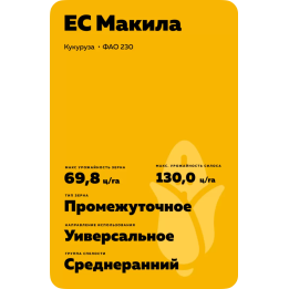 ES Makila / ЕС Макіла