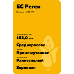 ES Ranger / ЕС Рейнджер