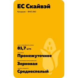 ES SKYWAY / ЕС СКАЙВЕЙ