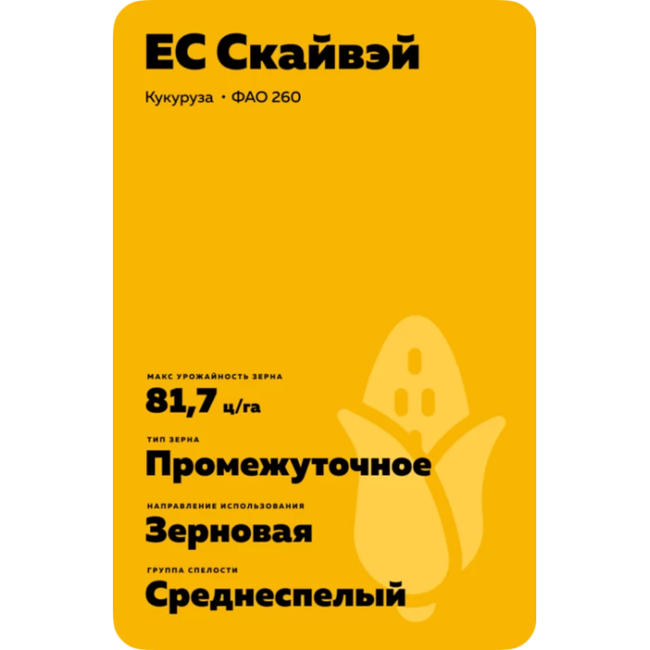 ES SKYWAY / ЕС СКАЙВЕЙ