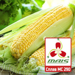 Жавір 290 МВ