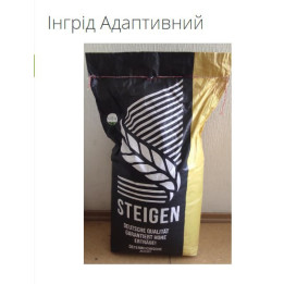 Ingrid / Інгрід