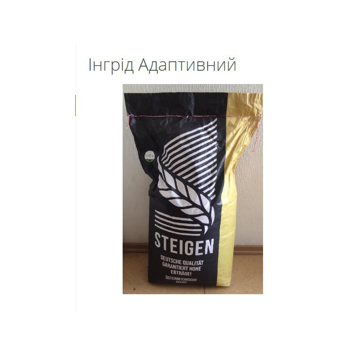 Ingrid / Інгрід