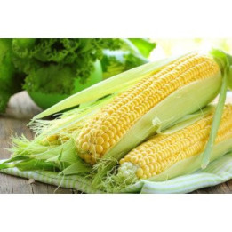 Ірша