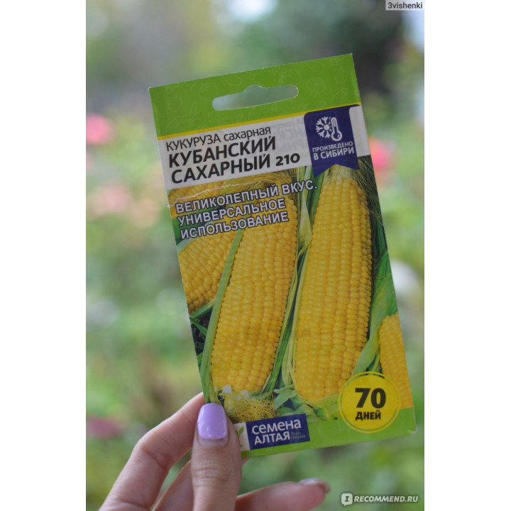Isberi / Ісбері