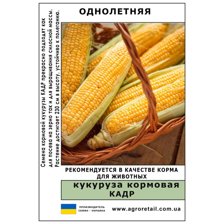 Кадр 318 МВ