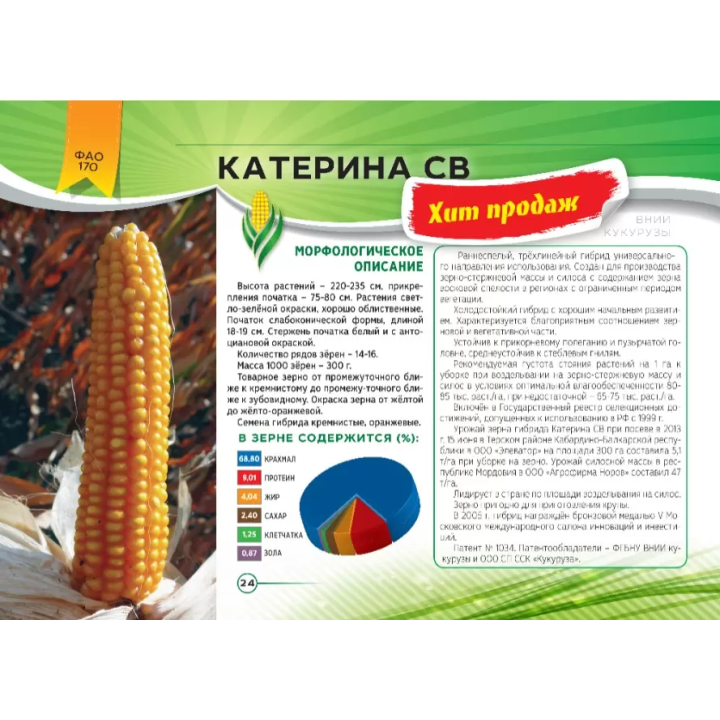 Катеринин 176 СВ