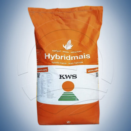 KWS DYNAMO / КВС ДИНАМО