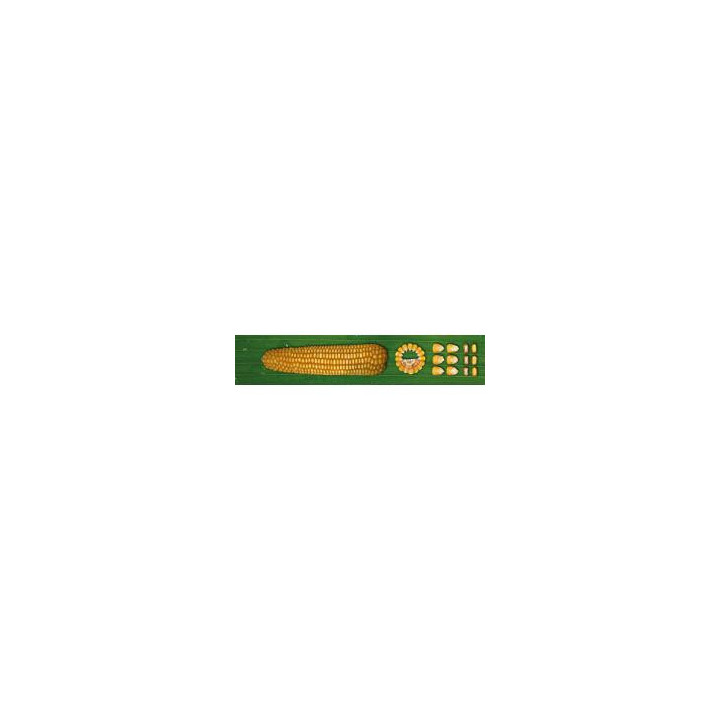 Блиц 160 МВ