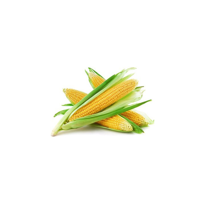 KUKURUS / КУКУРУС