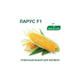 Laureen / Лаурін