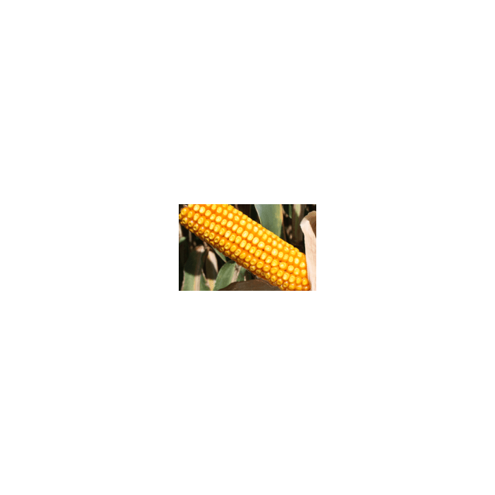 ЛГ 2222