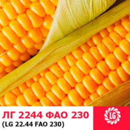 LG 2244 / ЛГ 2244
