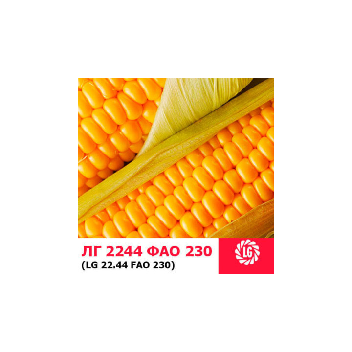 LG 2244 / ЛГ 2244