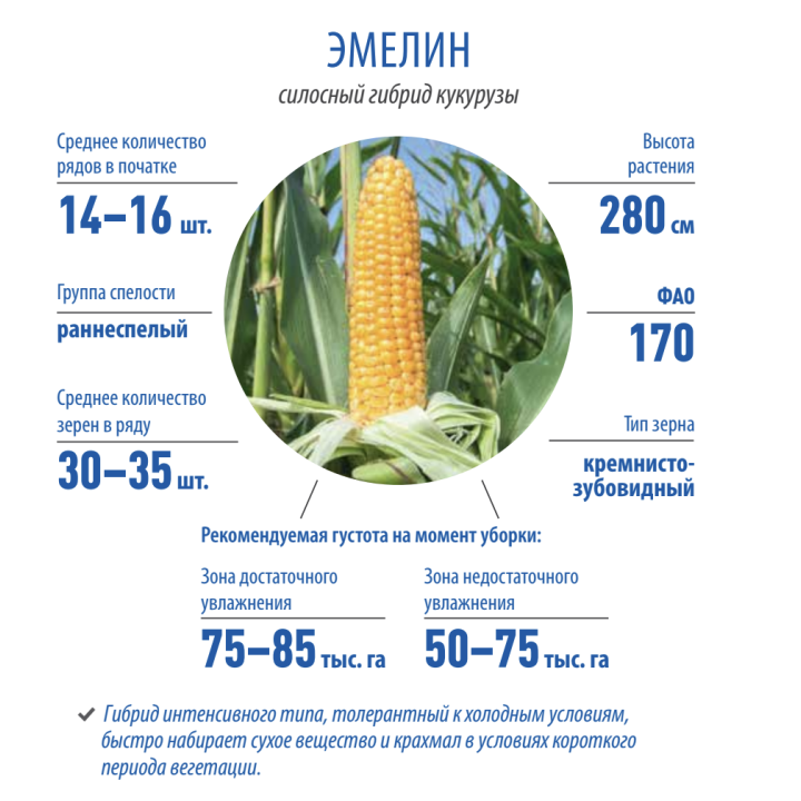 LG 25.10 / ЛГ 25.10