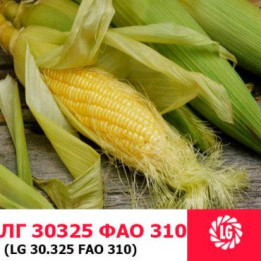 LG30325 / ЛГ30325