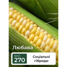 Loubazi CS / Лубазі КС