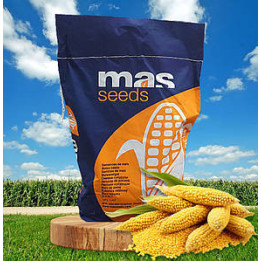 MAS 22K / МАС 22К