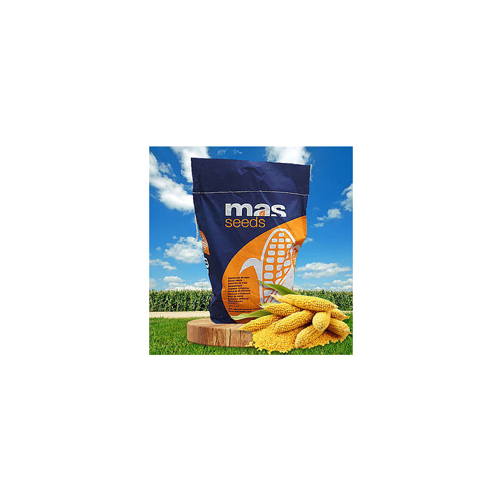 MAS 22K / МАС 22К