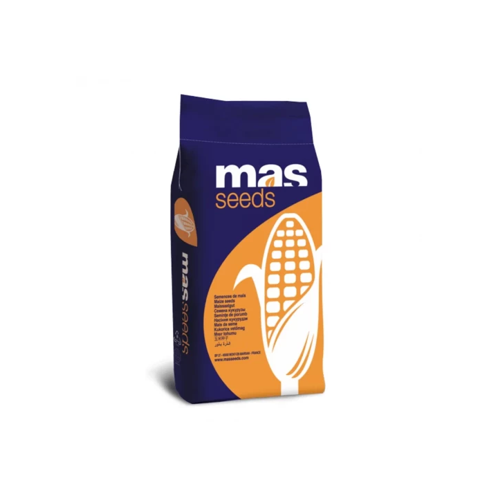 MAS 24V / МАС 24В