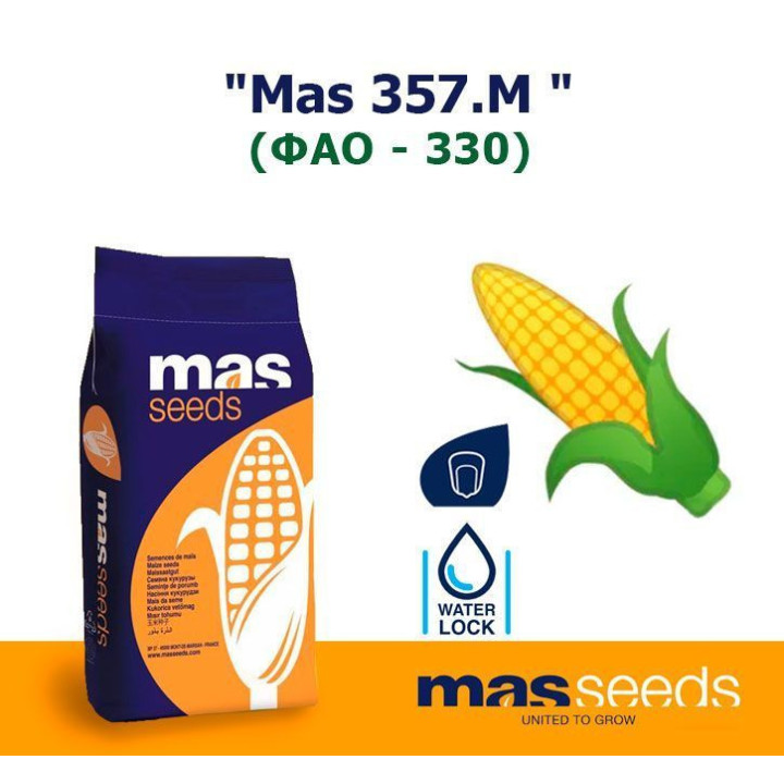 MAS 35WX / МАС 35ВХ