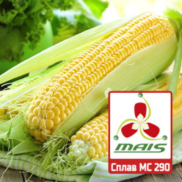МС 300 МВ
