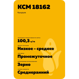 Muzi CS / Музі КС